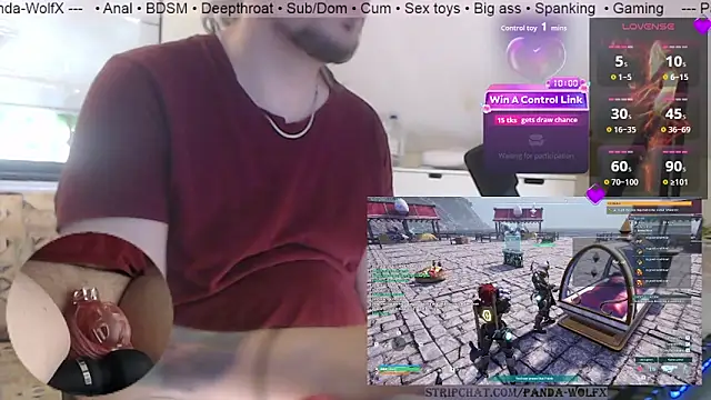 Panda-WolfX webcam