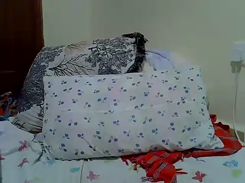 verl1 webcam