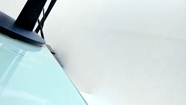 SofiaaReed webcam