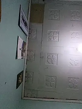 giftelvis254 webcam