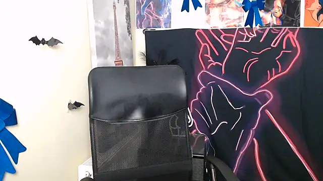 StellaCRL webcam