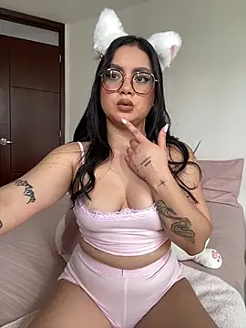 montmariana webcam