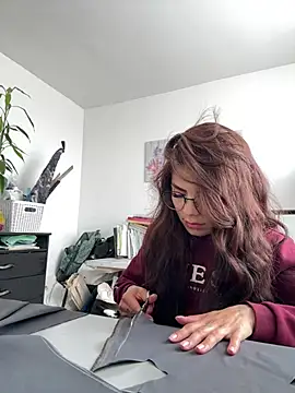 Lisegg_ webcam