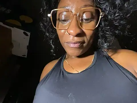 wynterheat webcam