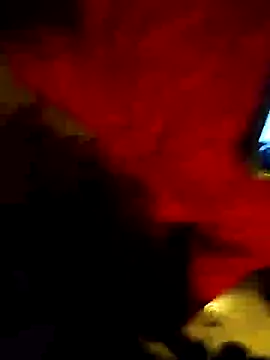 destroassbig2 webcam