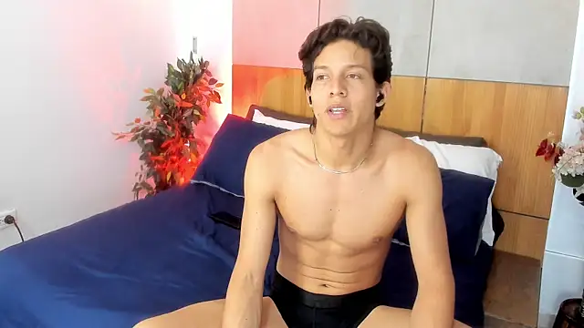 LevinFox webcam