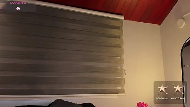 MERIDA_TAYLOR webcam