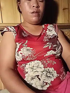 Ip34 webcam