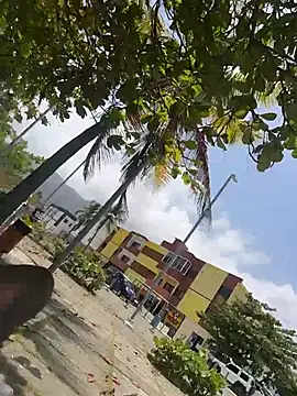 rafa037 webcam
