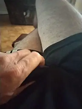 Philebranleur webcam