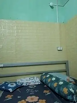 Voiva11 webcam