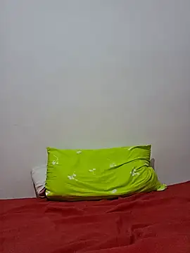 altinya webcam