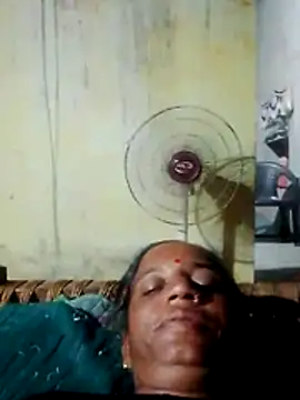Anitarakkoli webcam