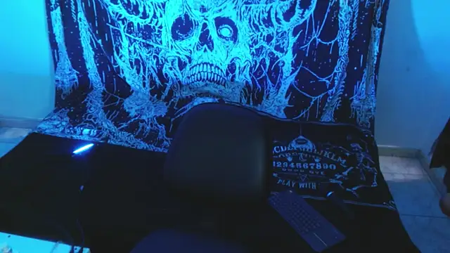 mikaskullcs webcam