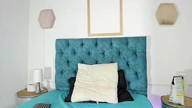 asher_lux webcam