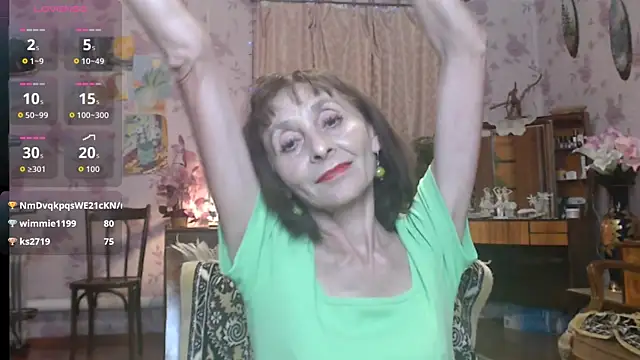 Shooting-Star- webcam