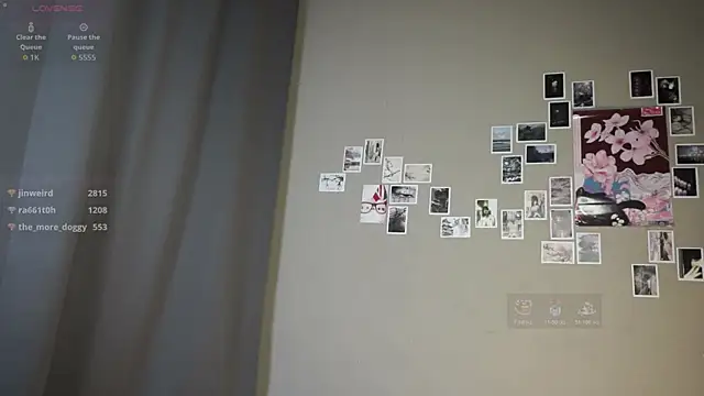 DellaLeck webcam