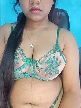 Rosse-Sanaya webcam
