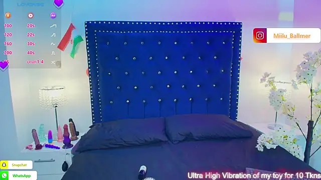 Milu_ballmer webcam
