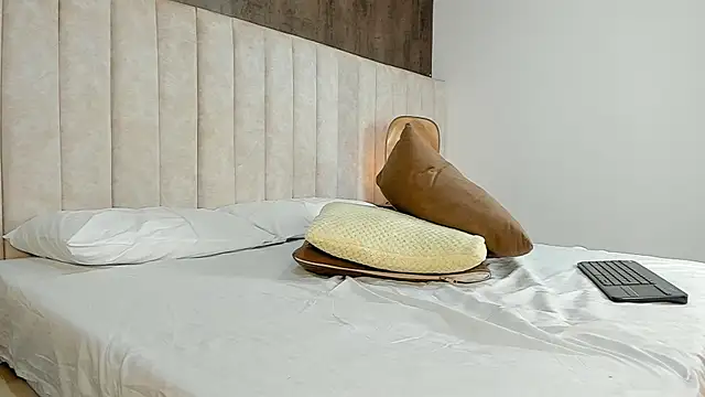 HalleyDream webcam