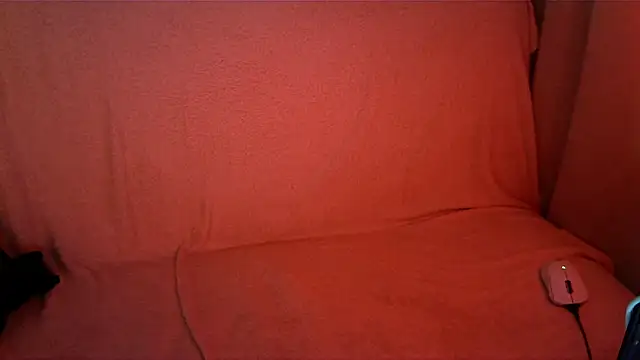 Mireviass webcam