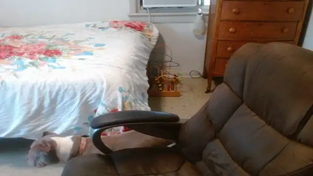 DADDY_KANE8--- webcam