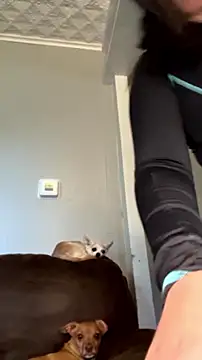 AriannaPenaxo webcam