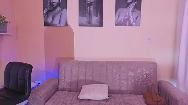 ToriCrossX webcam