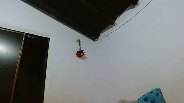 sk8-sir webcam