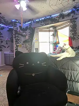 Toxii- live webcam