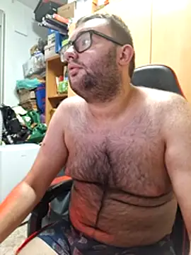 Javier_bear webcam