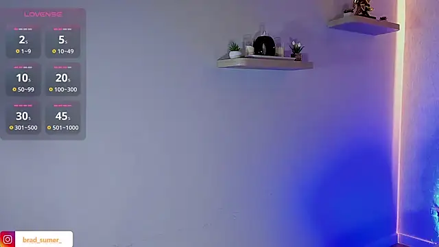 Brad_Summer webcam