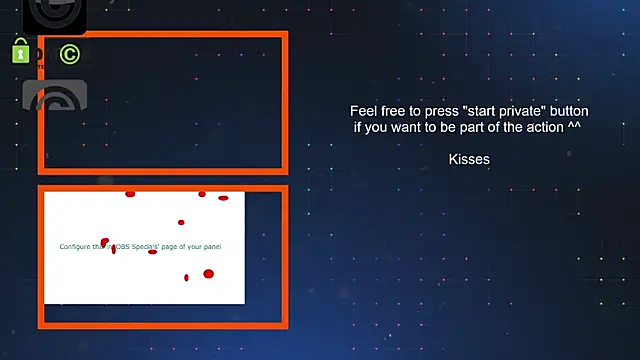 SilverMiss webcam