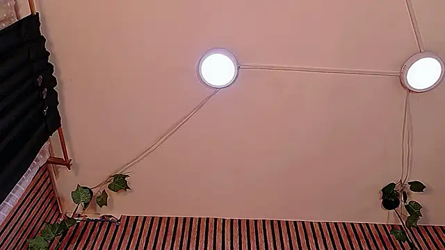 Hiddenhotcake webcam