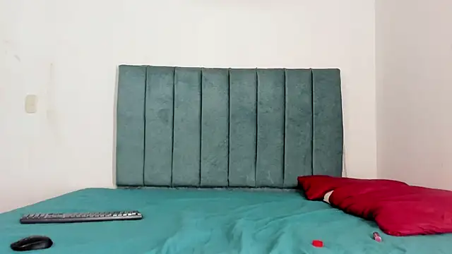 dakotadolly webcam