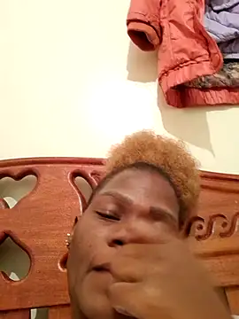 meshje webcam
