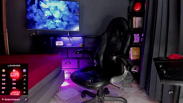 ZhoeStrong webcam