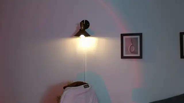 Evanss_lx webcam