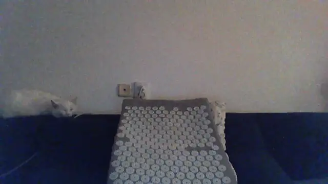 KaelNox webcam