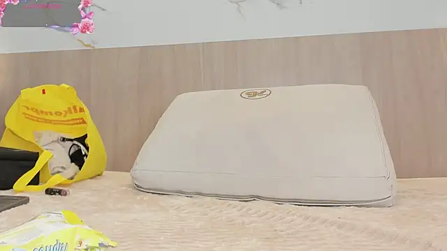 victoria_hokings webcam
