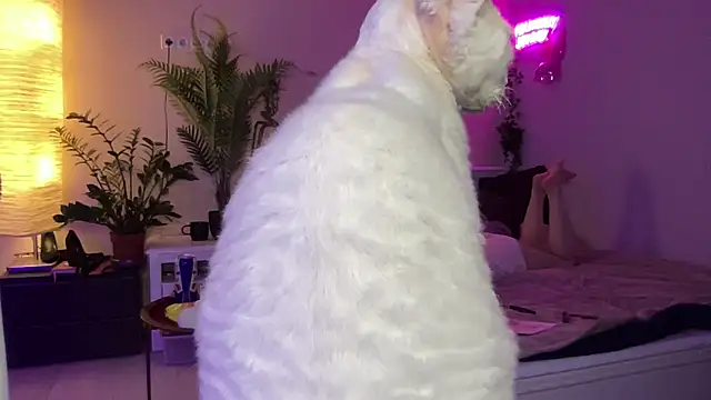 she_tora69 webcam