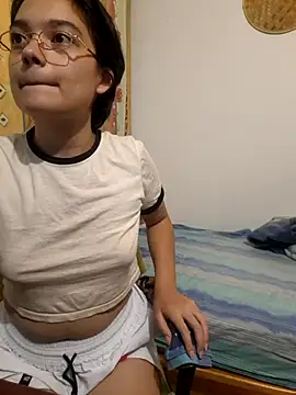 Meeliivee webcam
