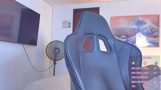 RJBarto webcam