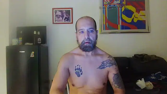 AMIRDIB2025 webcam