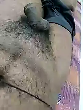 Bunny3095 webcam