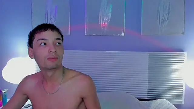 dstevora webcam