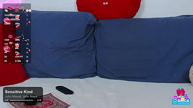 -Lorik- webcam
