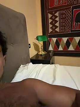 DarkfleX webcam