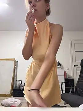 Ketitull webcam