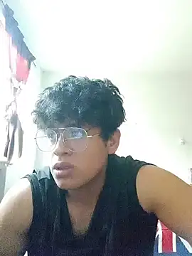 Jblouser webcam